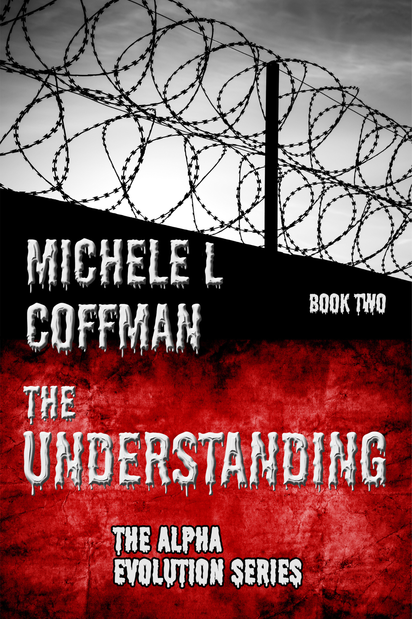 The Understanding by Michele L Coffman